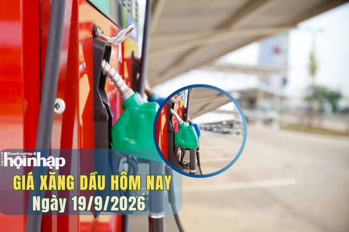 Giá xăng dầu hôm nay 18/9/2026: Giá dầu giảm nhẹ nhờ nguồn cung từ Saudi Arabia